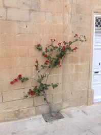 photo 1072328