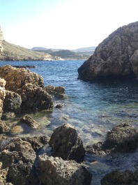 photo 1072378