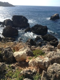 photo 1072379