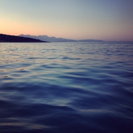 photo 1093956