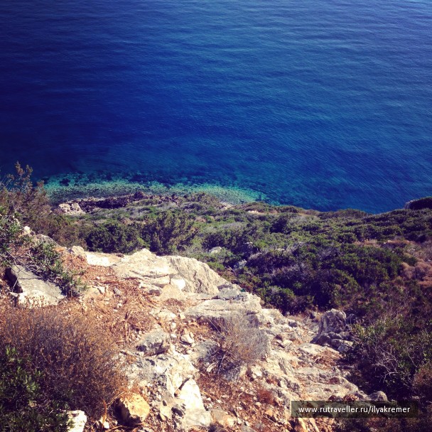 photo 1093967