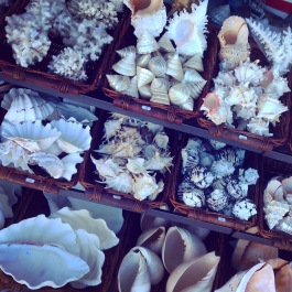 photo 1093976