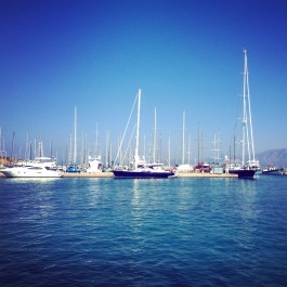 photo 1093987