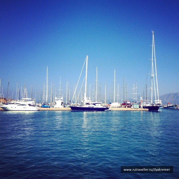 photo 1093987