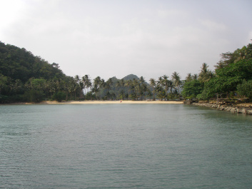 photo 113569