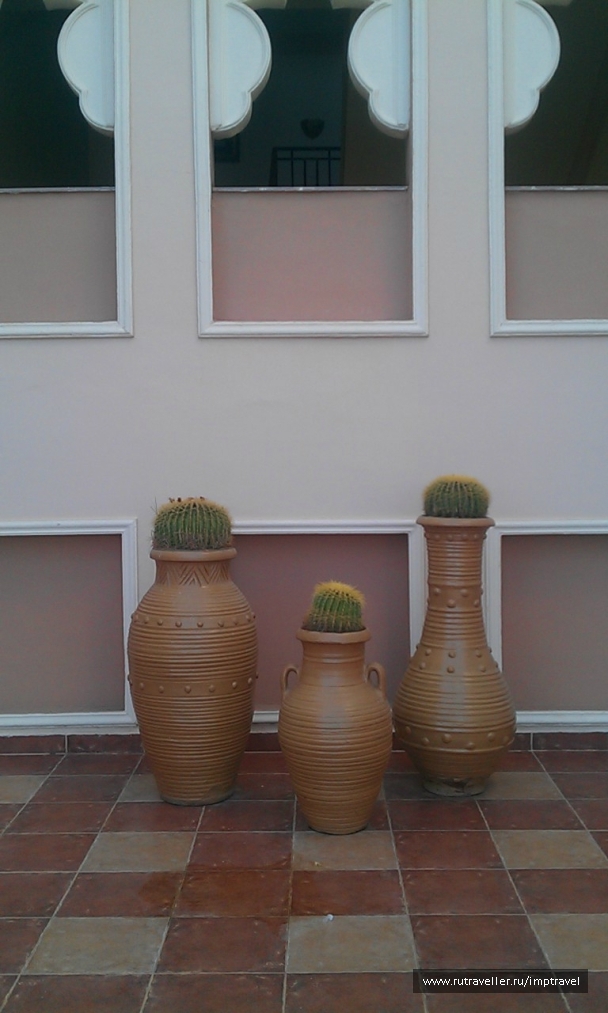 photo 799839