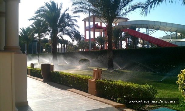 photo 799845