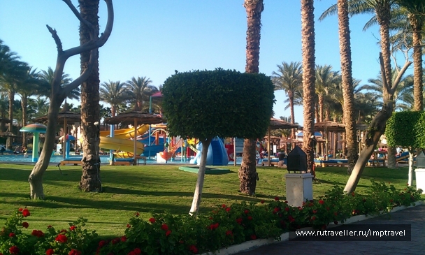 photo 799848