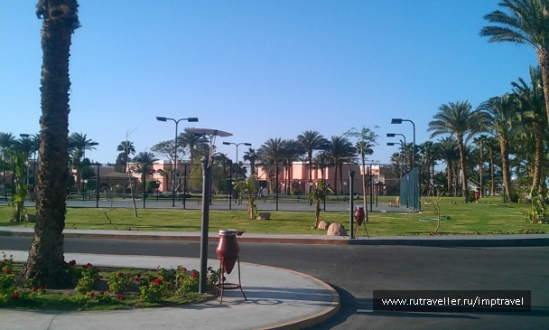 photo 799850