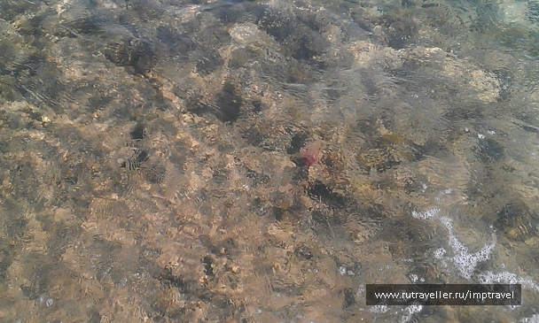 photo 799862
