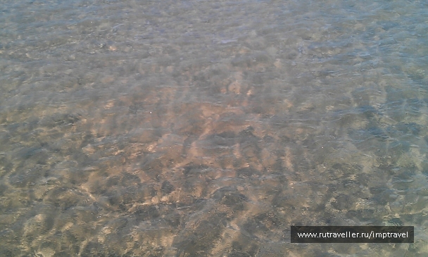 photo 799864