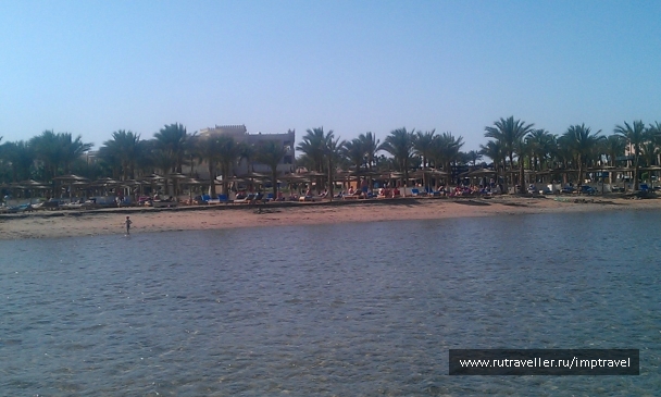 photo 799867