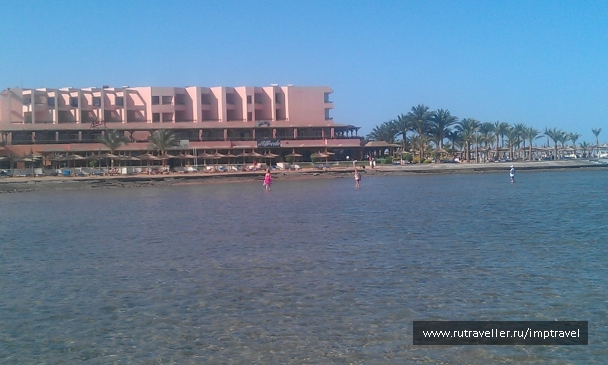 photo 799868