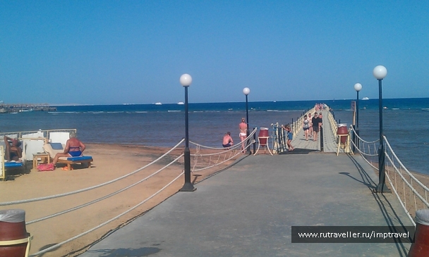 photo 799870