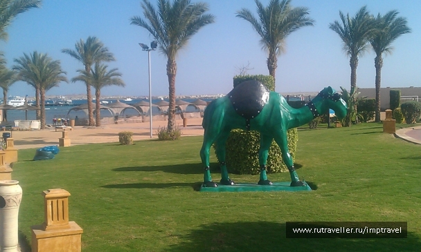 photo 799874