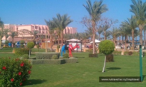 photo 799875