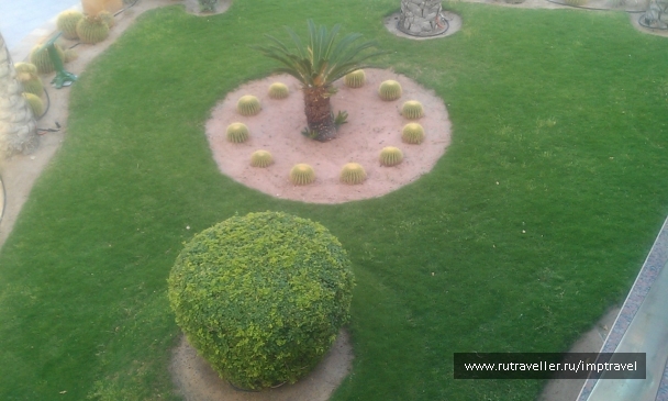 photo 799897