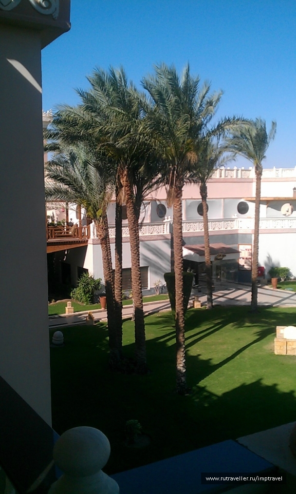 photo 799901