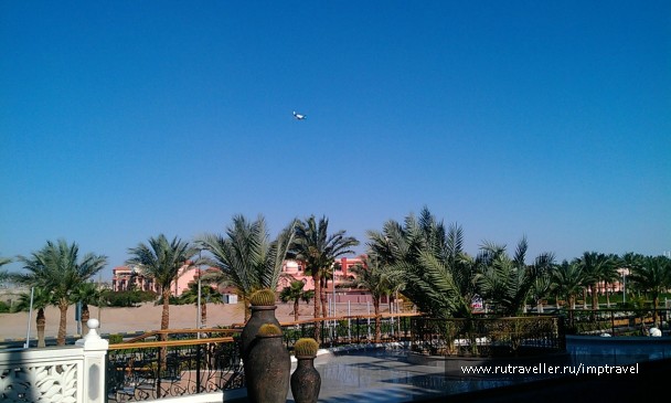 photo 799928
