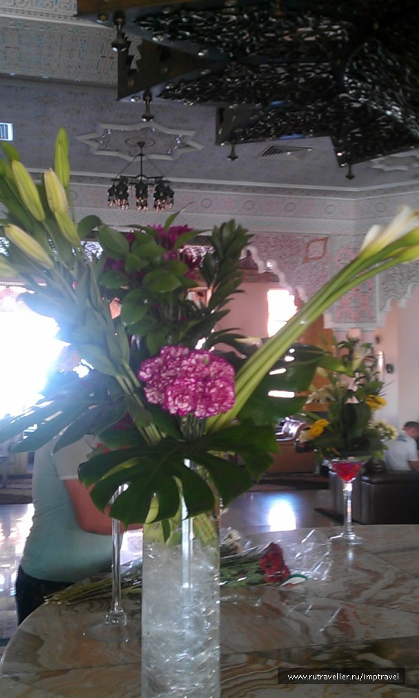 photo 799942