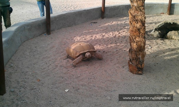 photo 799954