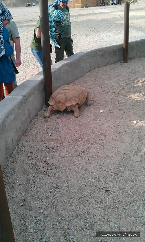photo 799956