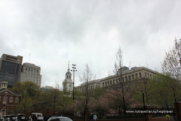 photo 803858