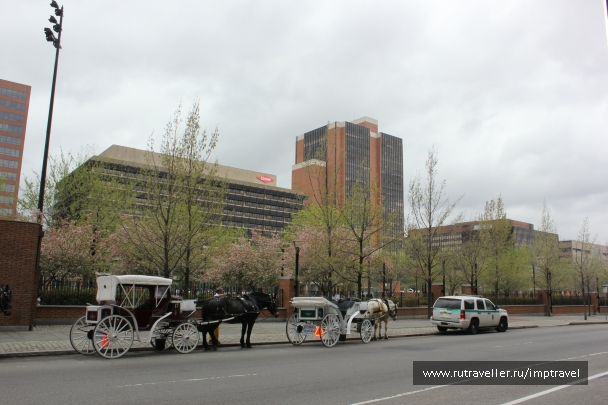 photo 803874