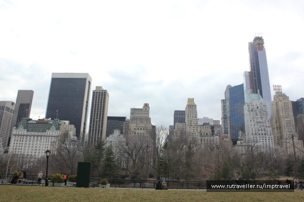 photo 803882