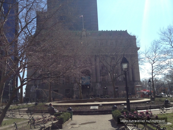 photo 803980