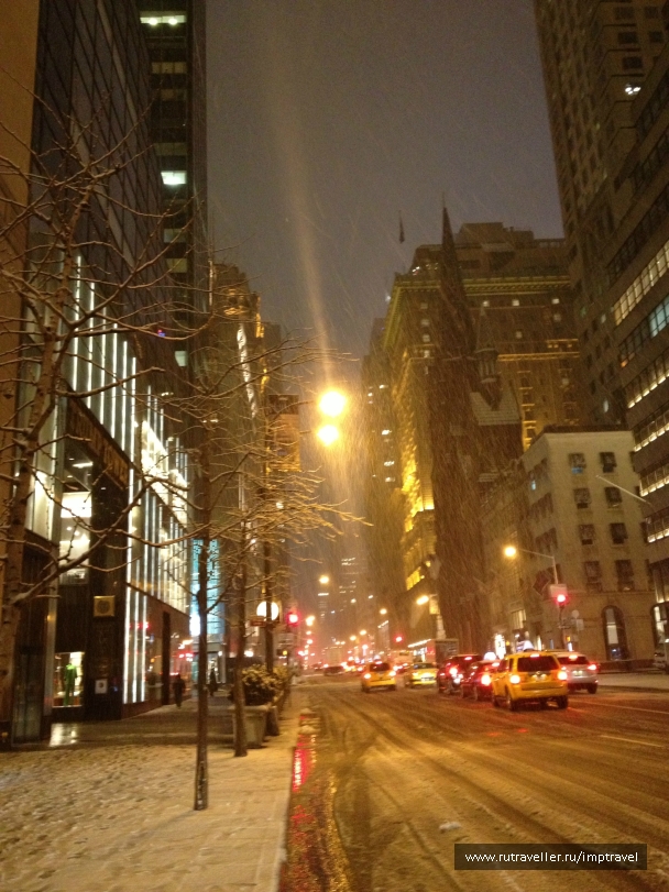 photo 804013