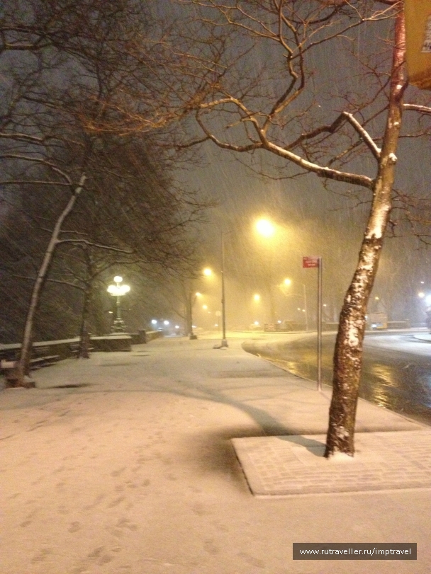 photo 804020