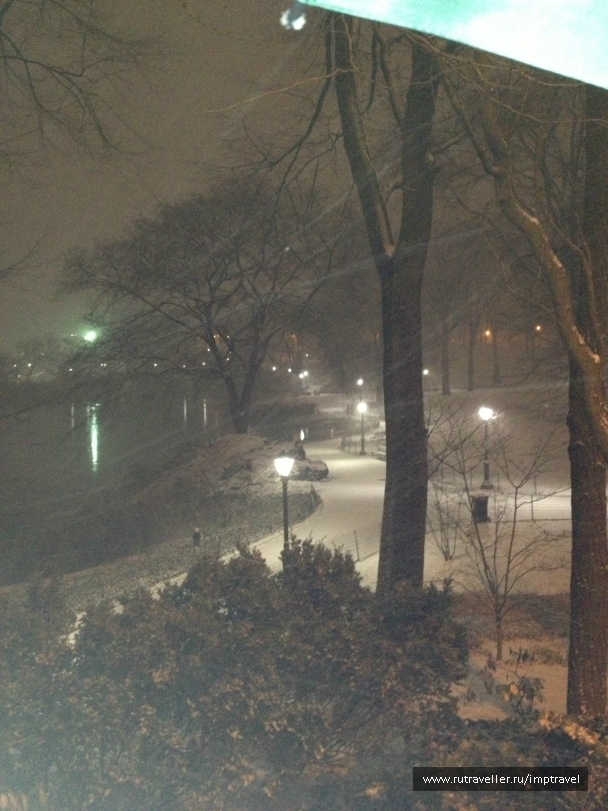 photo 804022