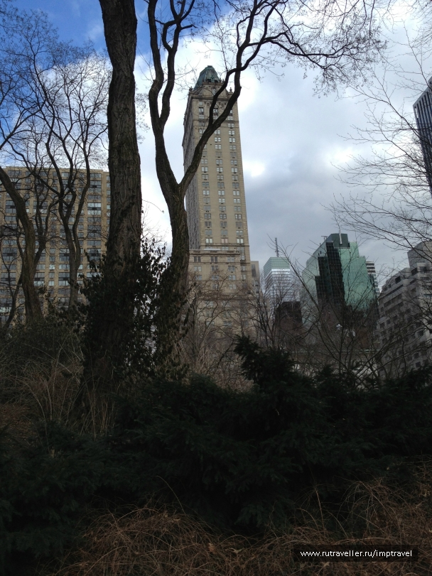 photo 804060