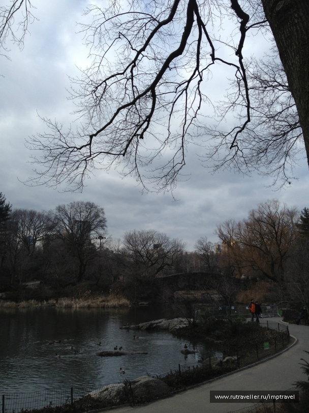 photo 804061