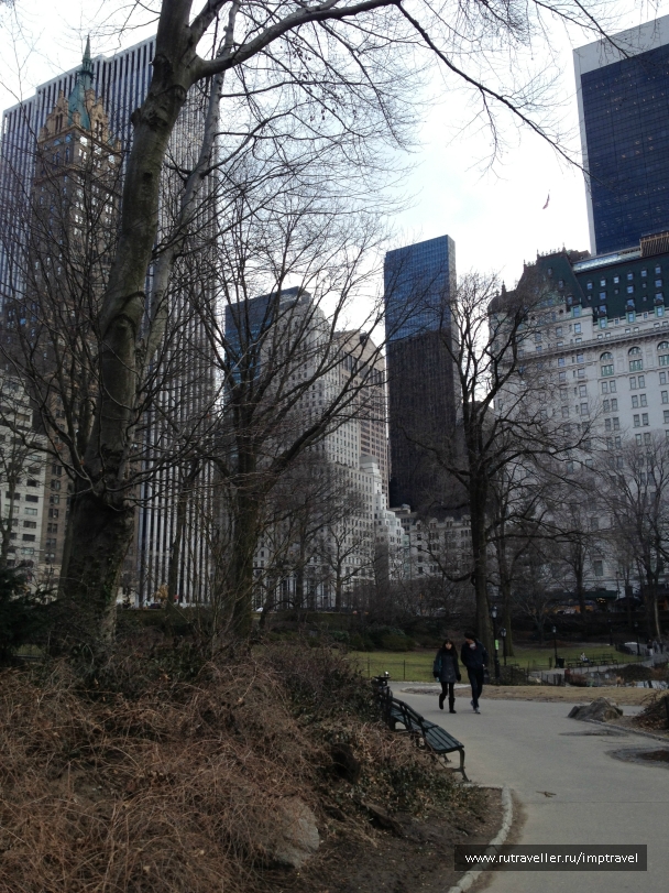 photo 804065
