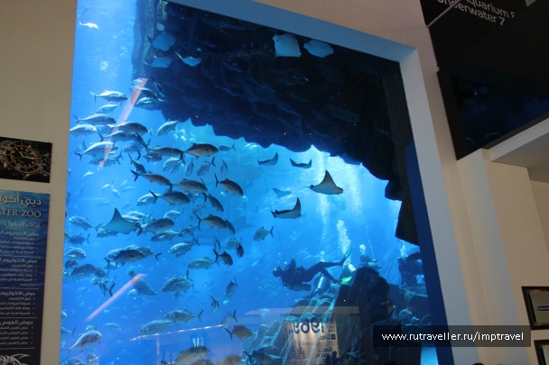 photo 804236