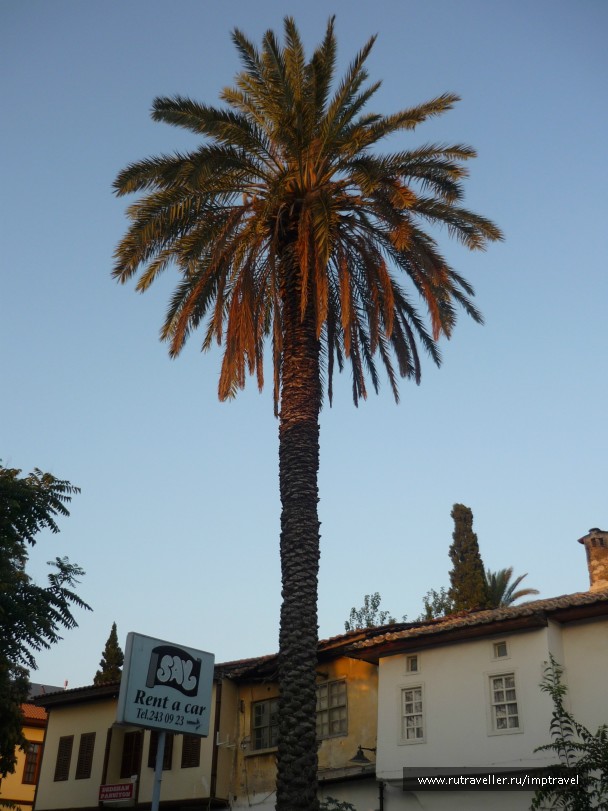 photo 804299
