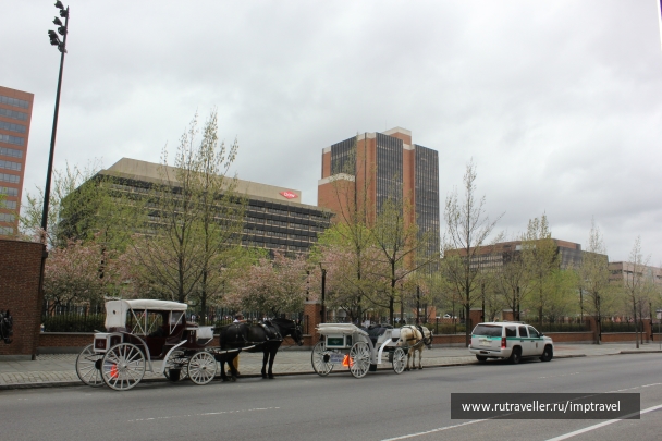photo 804149