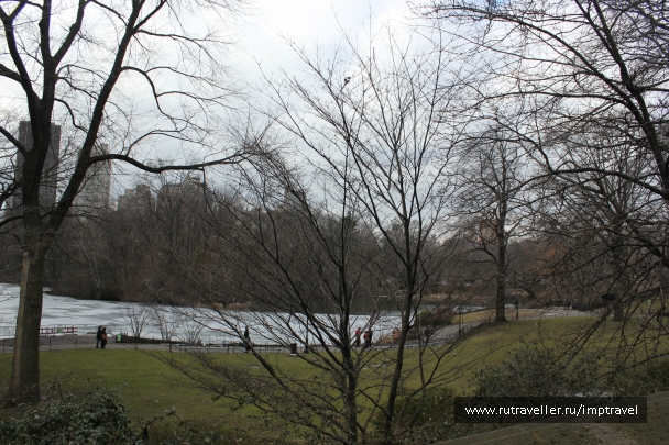 photo 804161