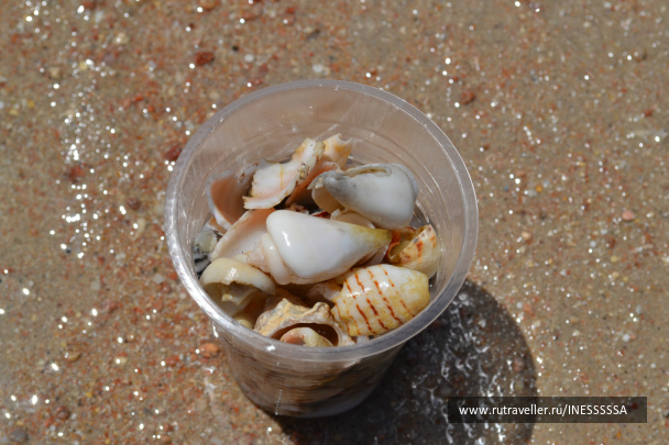 photo 497392