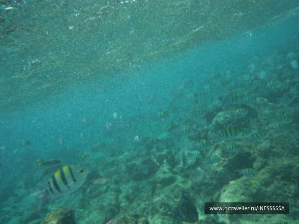 photo 497401