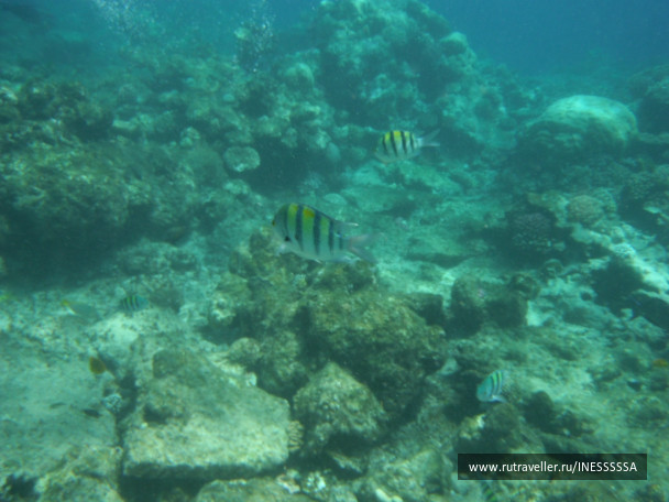 photo 497403