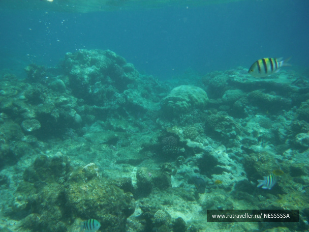 photo 497404