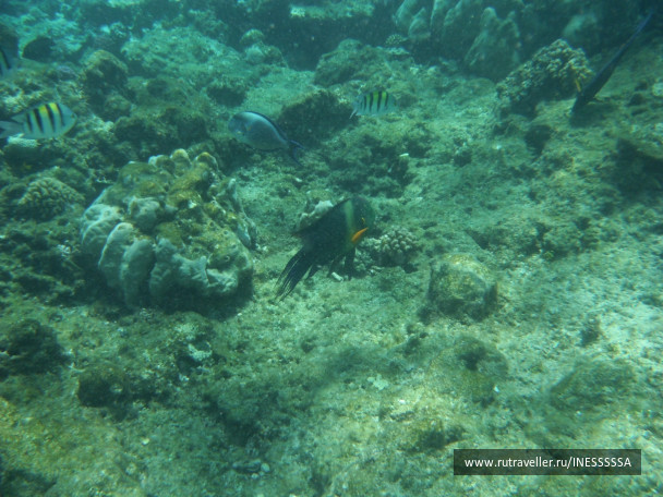photo 497407