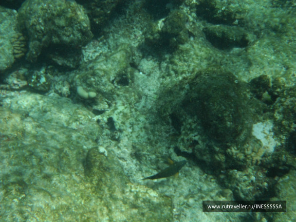 photo 497408