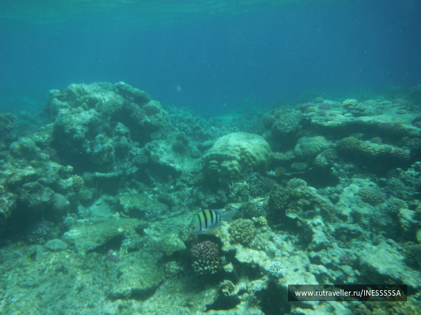 photo 497409