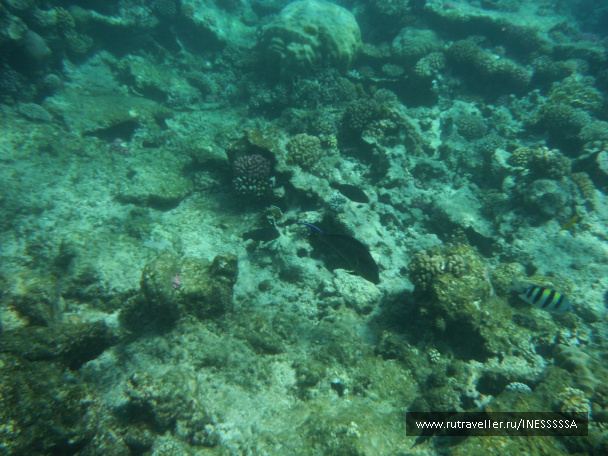 photo 497410