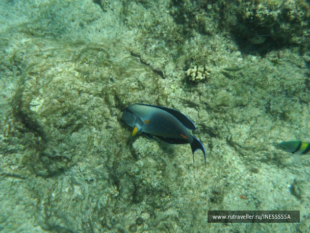 photo 497412