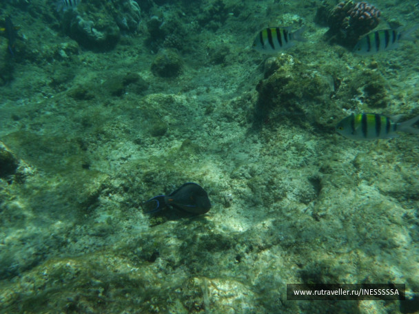 photo 497413